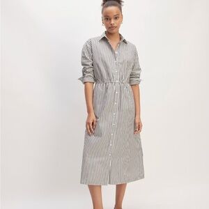 Everlane Shirt Dress
